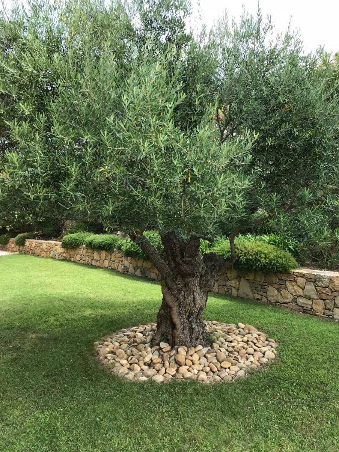 Belle Villa Dans Clos Prive - Saint Raphael Boulouris 외부 사진