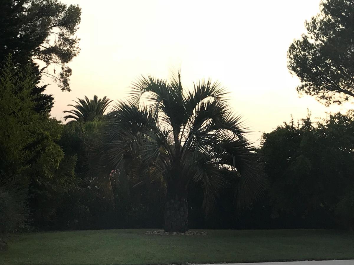 Belle Villa Dans Clos Prive - Saint Raphael Boulouris 외부 사진